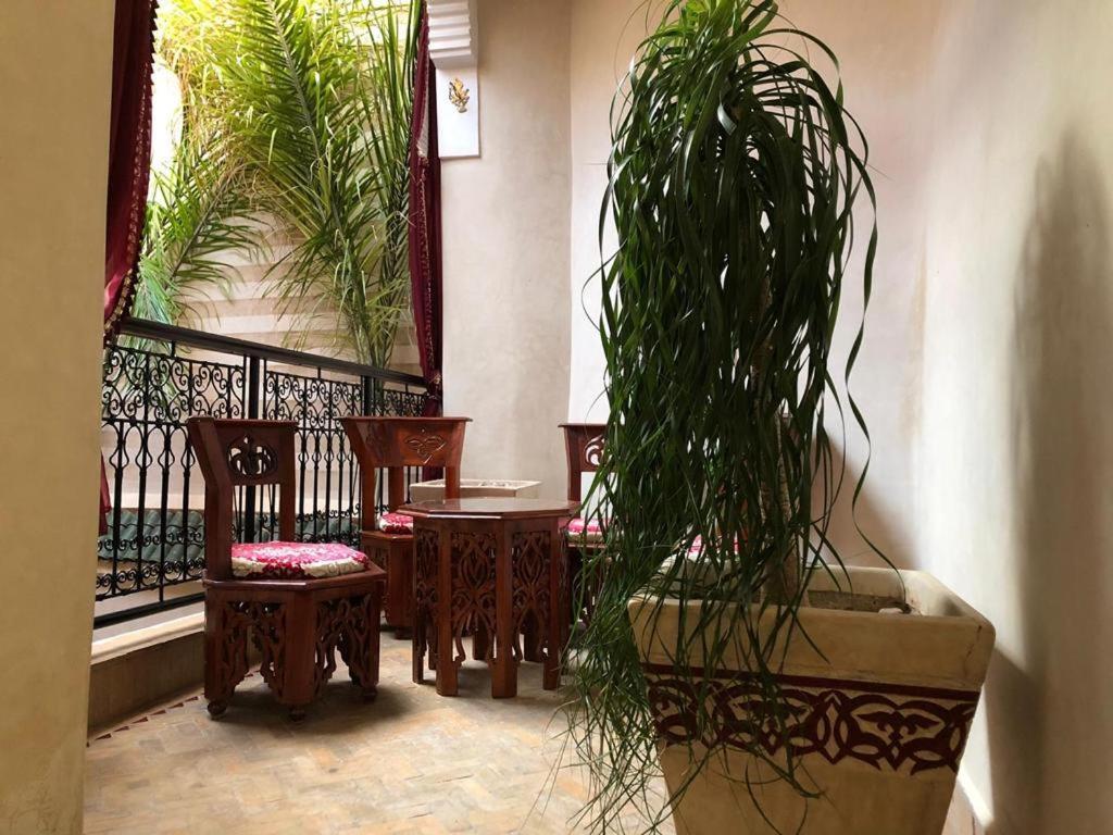 Rose Eternelle Marrakesh